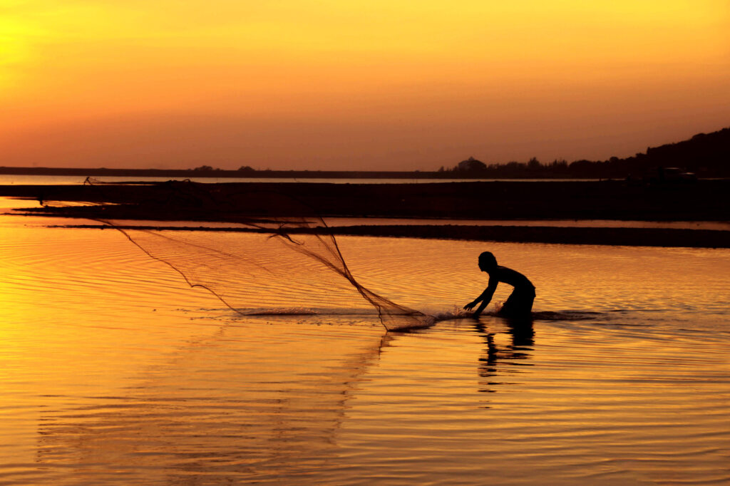 dreamstime_xl_87455012